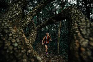 BIB: 
                            <button type="button" onclick="openModal(25673178)" class="btn btn-primary btn-sm float-right btn-popup" data-toggle="modal" data-target=".modal-high-quality">
                        <i class="fas fa-shopping-cart"></i> Add to Cart
                    </button>
                                            <button type="button" onclick="isThisMe(25673178, true)" class="btn btn-success btn-sm float-right btn-popup btn-isme hidden" data-toggle="tooltip" data-placement="bottom" title="นี่คือรูปของคุณใช่ไหม คลิกที่นี่เพื่อเอาเข้าอัลบั้ม">
                        <i class="fas fa-plus"></i> Add to album
                    </button>
                    <button type="button" onclick="isThisMe(25673178, false)" class="btn btn-warning btn-sm float-right btn-popup btn-isnotme hidden">
                        <i class="fas fa-ban"></i> Remove from album
                    </button>